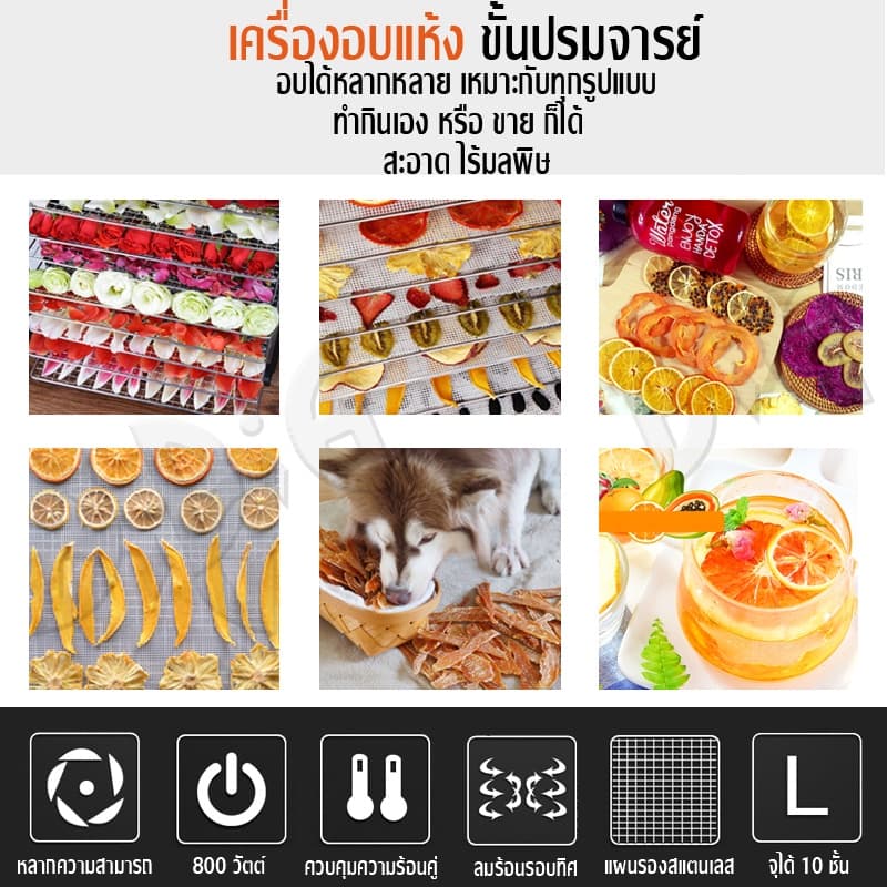 เครื่องอบผลไม้ สแตนเลส จุได้เยอะ 8/10/12 ชั้น fruit dehydrator 1000W เครื่องอบลมร้อน เครื่องอบอาหาร ไม้ ระบบลมร้อน เครื่ รูปที่ 4