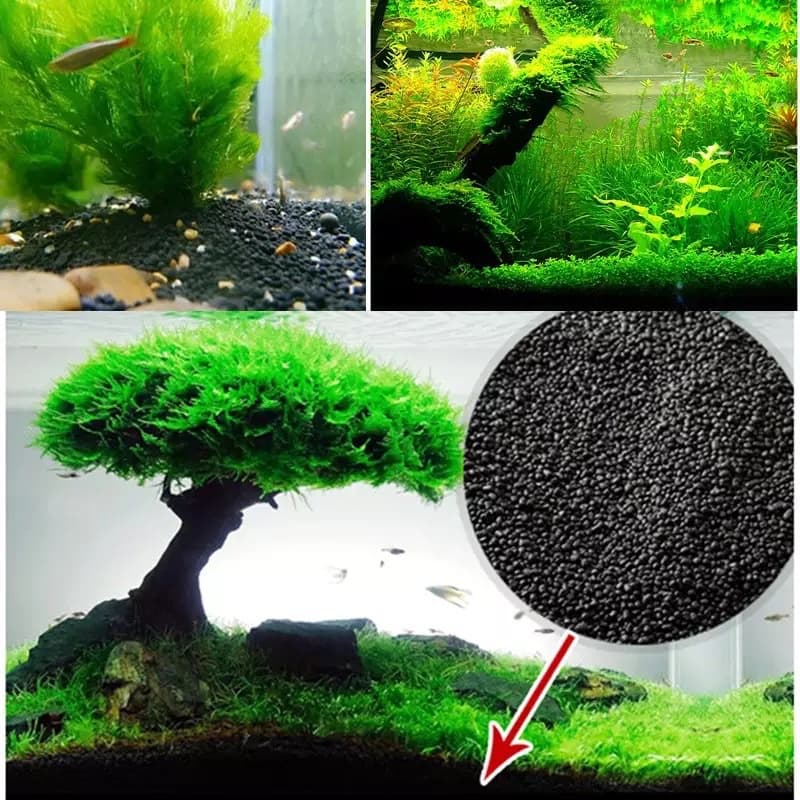 ดินปลูกไม้น้ำ WATER PLANT SOIL by Medifish รูปที่ 5