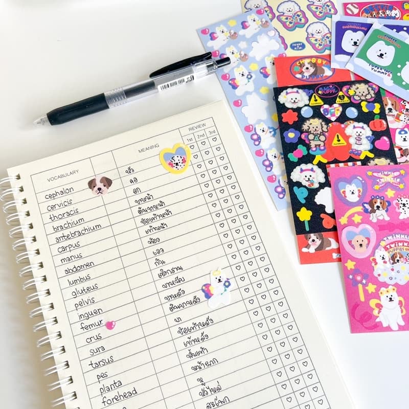 vocabulary v.2 | สมุดจดศัพท์ จดได้ 3000+ คำ รูปที่ 3