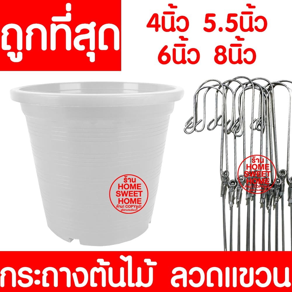 กระถางเพาะชำ กระถางต้นไม้ สีขาว ปลูกต้นไม้ ลวดแขวนกระถาง ลวดแขวนต้นไม้ เพาะปลูก กล้วยไม้ ต้นไม้ ฟองน้ำ 4/5.5/6/8 นิ้ว รูปที่ 1