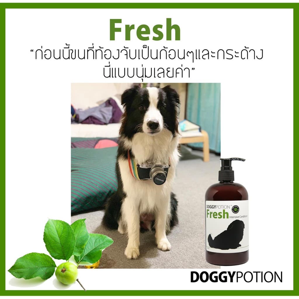 NEW!! Doggy Potion Fresh Conditioner ขนาด 500ml รูปที่ 4