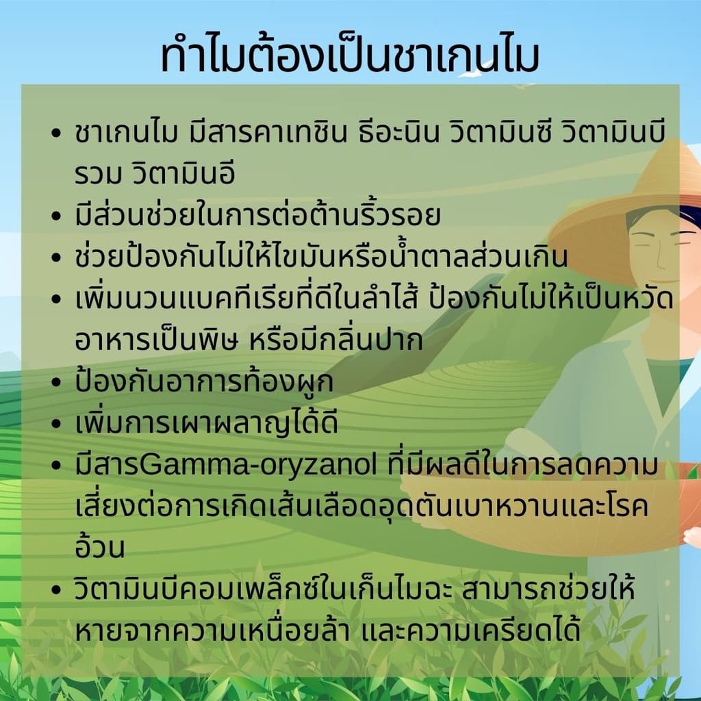 ชาเขียว มัทฉะ อิริ เกนไมฉะ ชาเขียวมัทฉะ ชาข้าวคั่ว นำเข้า คาเฟอีนน้อย ผู้สูงอายุทานได้ 300 g. รูปที่ 3