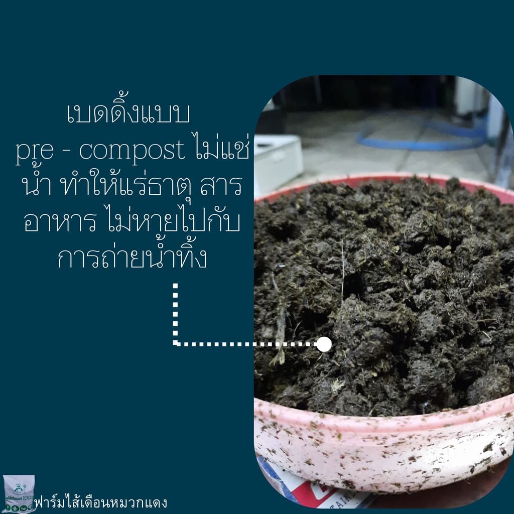 เบดดิ้งเลี้ยงไส้เดือน ปุ๋ยหมัก ขี้วัวนมหมัก ปุ๋ยคอกหมัก ปุ๋ยขี้วัวนม ที่อยู่ไส้เดือน รูปที่ 3