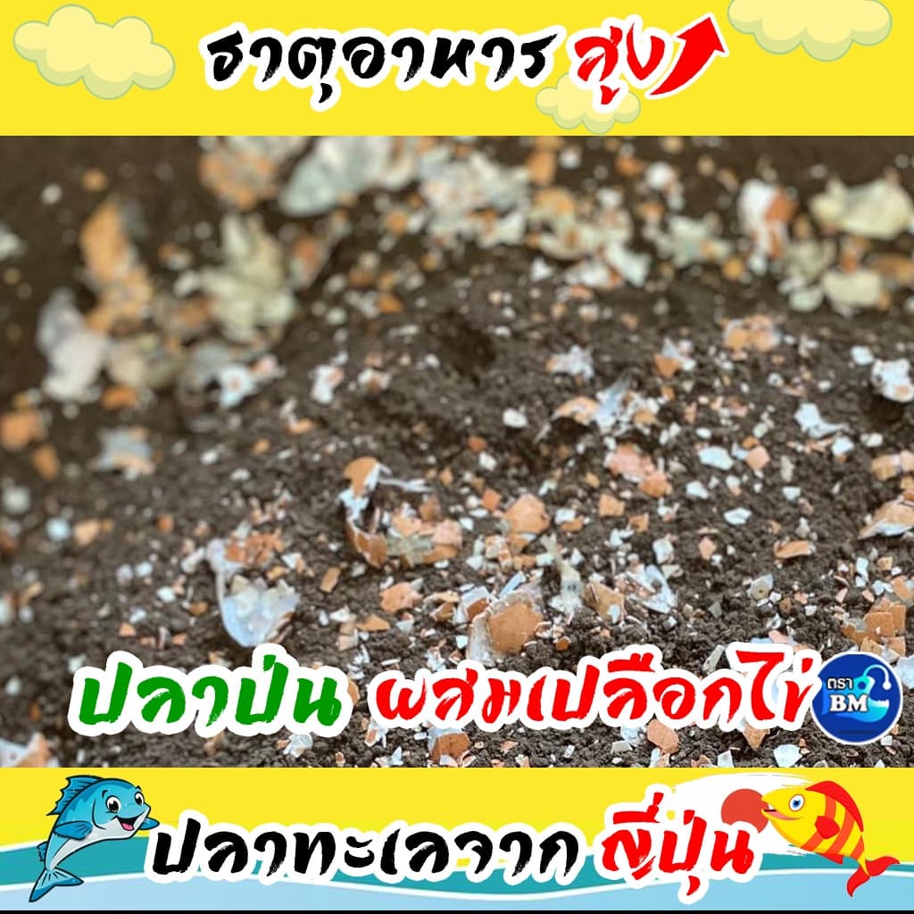 น้ำหมักปลาทะเล จากญี่ปุ่นผสมเปลือกไข่ ช่วยไล่แมลง รูปที่ 8