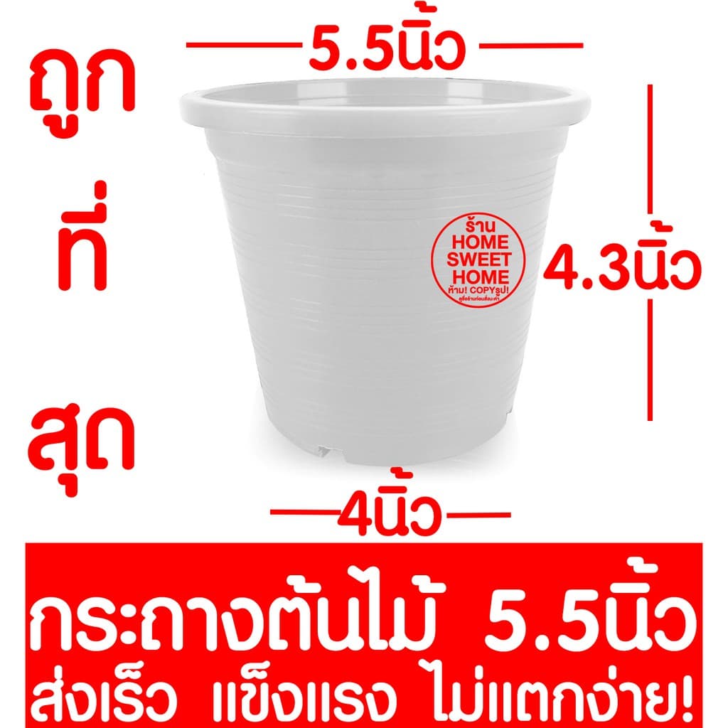 กระถางเพาะชำ กระถางต้นไม้ สีขาว ปลูกต้นไม้ ลวดแขวนกระถาง ลวดแขวนต้นไม้ เพาะปลูก กล้วยไม้ ต้นไม้ ฟองน้ำ 4/5.5/6/8 นิ้ว รูปที่ 5