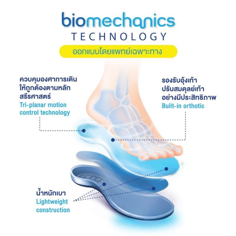 สินค้า รุ่นSpectrum B309 รองเท้าหูหนีบสุขภาพไบโอเมคคานิกส์ สินค้าลิขสิทธิ์แท้จากบริษัทScholl รูปที่ 8