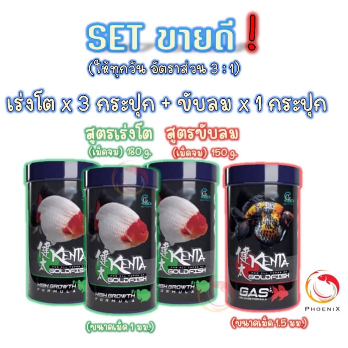 Set สุดคุ้มอาหารปลาทอง Kenta สูตรเร่งโต ท้องไม่อืด และขับลม แก้ปลายหงายท้อง รูปที่ 3