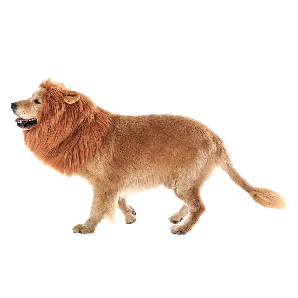 วิกผมสัตว์เลี้ยง วิกผมหมา ทรงแผงคอสิงโต สำหรับสุนัข Cat wig dog wig รูปที่ 5