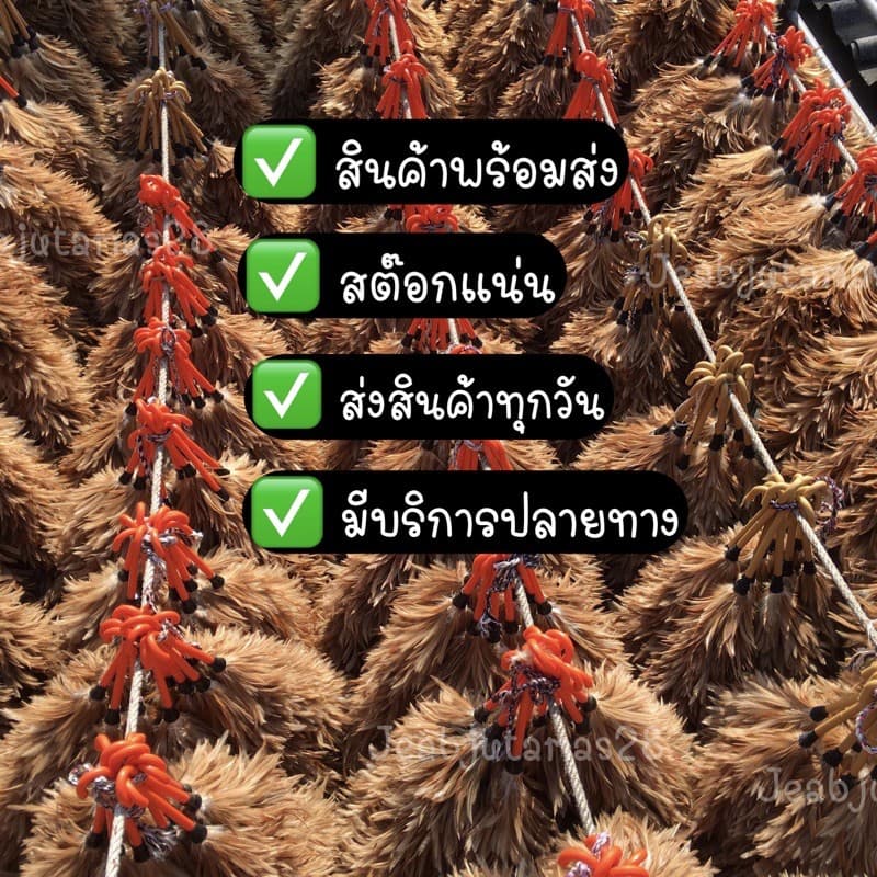 ไม้ขนไก่ ไม้ปัดขนไก่ ไม้ปัดฝุ่น เกรดพรีเมียม sizeXL ขนดี รูปที่ 4