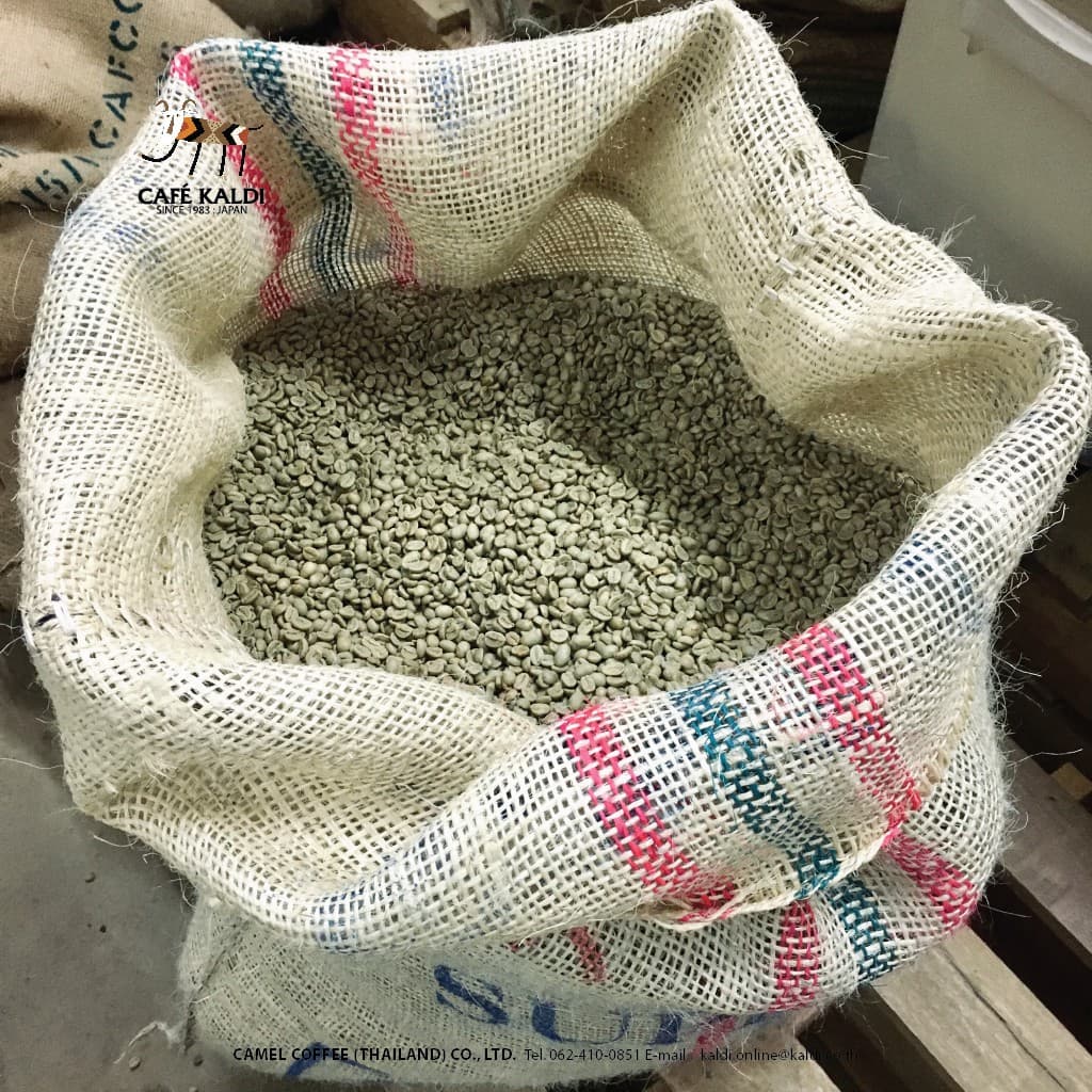 เมล็ดกาแฟคั่ว 200 กรัม : CAFÉ KALDI : Japanese Roast 200 g รูปที่ 6