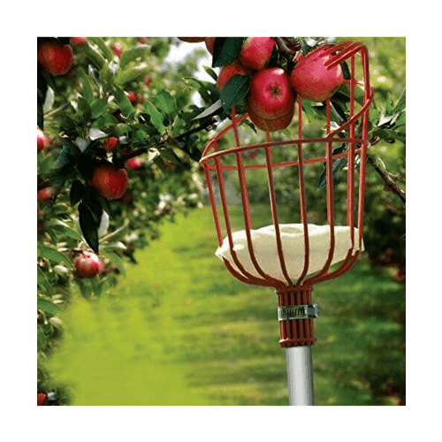 GlobalHouse Tree O ที่สอยผลไม้ รุ่นTL3102 ขนาด33ซม. สีแดง สินค้าของแท้คุณภาพดี รูปที่ 1