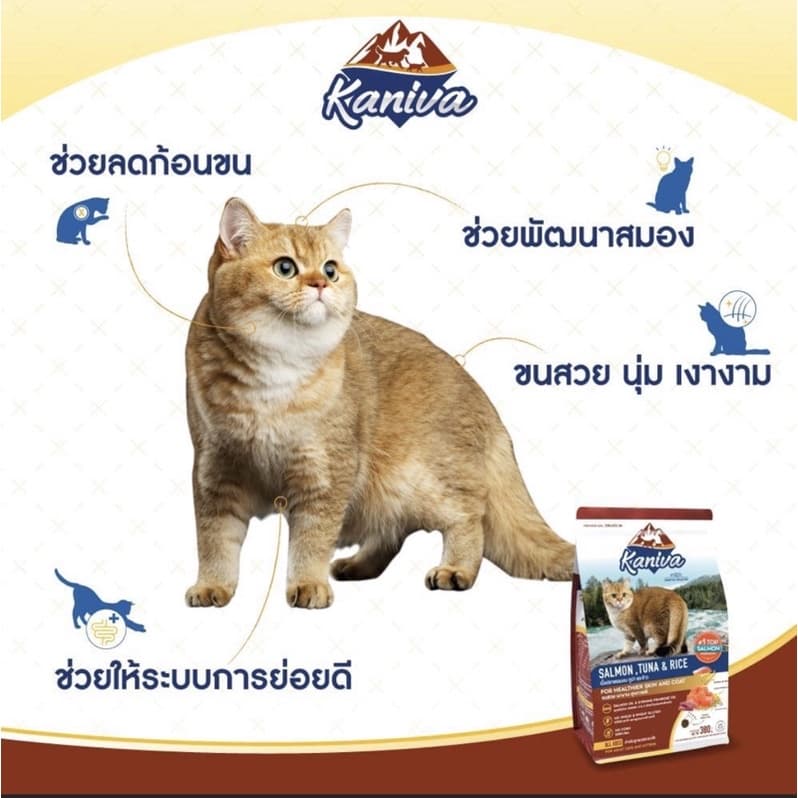 Kaniva Premium Cat Food คานิว่า อาหารเม็ดเกรดพรีเมี่ยมสำหรับแมว บรรจุ 1.3kg-1.5kg รูปที่ 6