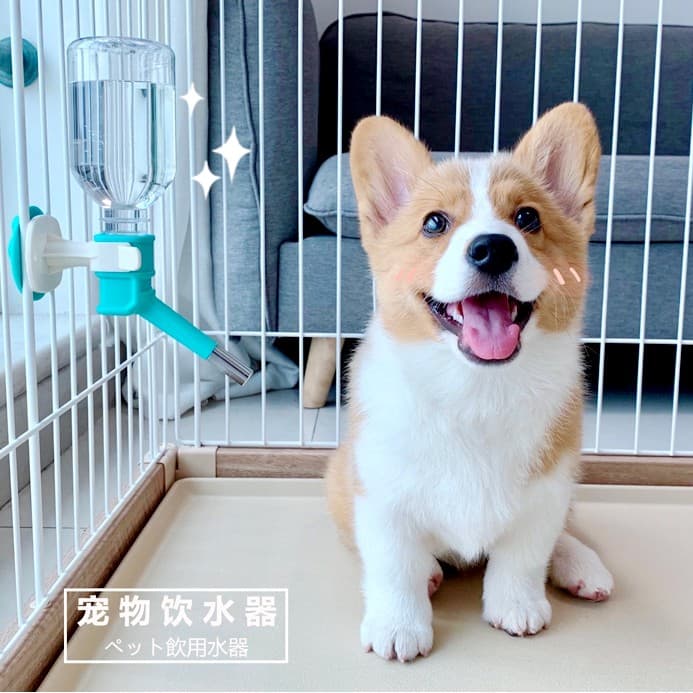 Boqi factory Pet Water Feeder ที่ให้น้ำแบบแขวนกรง เพียงหมุนขวดน้ำเข้าเกลียว สำหรับสุนัขและแมว GJ-02 รูปที่ 8