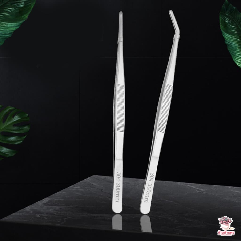 ฟอเซปด้ามยาว ฟอร์เซบสแตนเลส #304 Forcep ฟอเซป ปากคีบ อุปกรณ์ช่วยปลูกต้นไม้ แคคตัส กระบองเพชร cactus&succulent รูปที่ 9