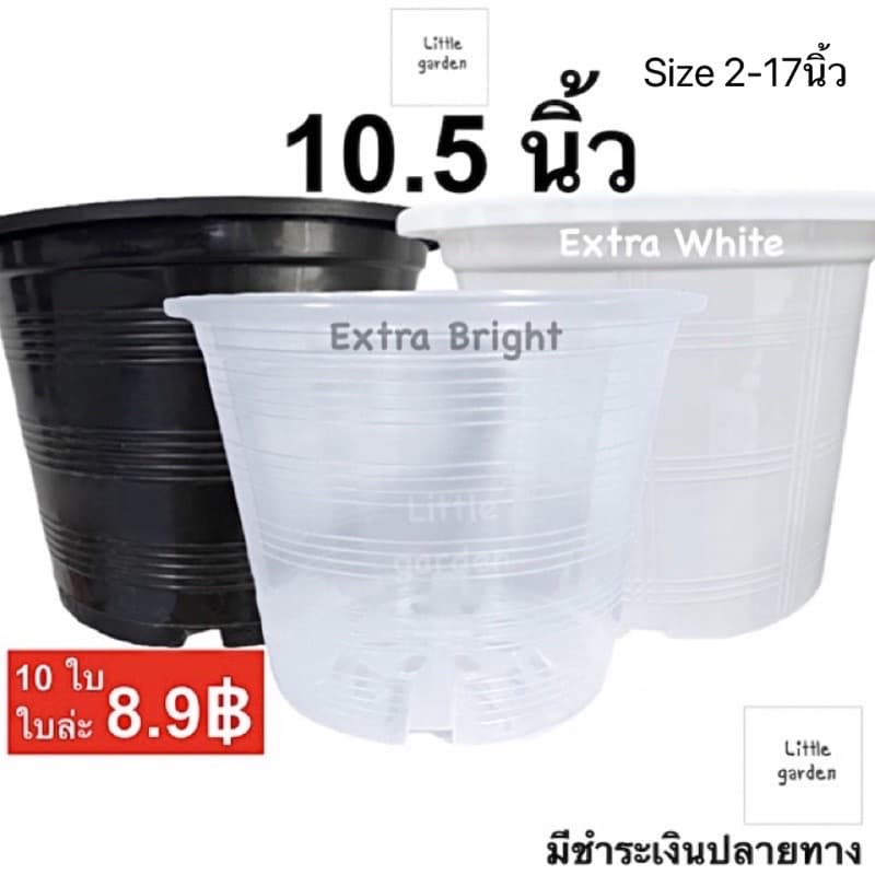 Little กระถางต้นไม้ 10.5 นิ้ว 6 นิ้ว 8 นิ้ว 5.5 นิ้ว 4 นิ้ว 3 นิ้ว รูปที่ 1
