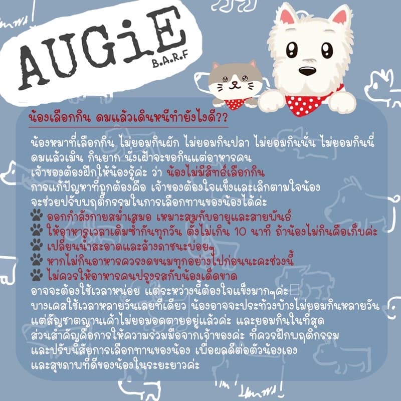 Cube Barf อาหารบาร์ฟสุนัข : สูตรเป็ด+แซลม่อน รูปที่ 9