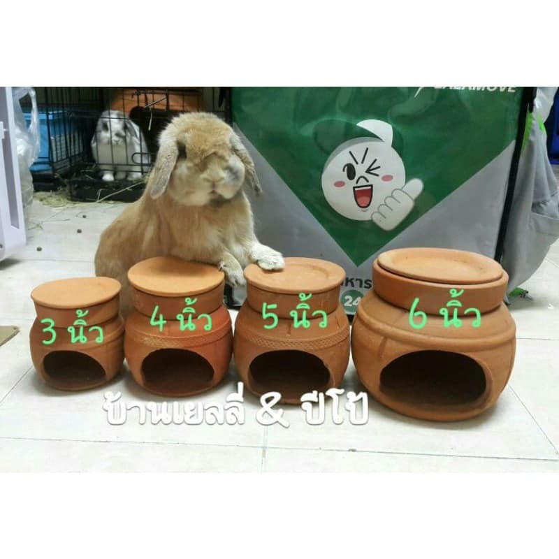 บ้านแอร์ดินเผาหนูแฮมเตอร์ ชูก้า และสัตว์ฟันแทะไซต์เล็ก รูปที่ 1