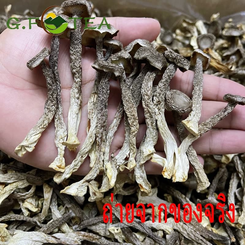 เห็ดกำมะหยี่แห้ง อบแห้ง100% เกรดซูเปอร์ 特级 鹿茸菇 鲜香味十足 รูปที่ 2