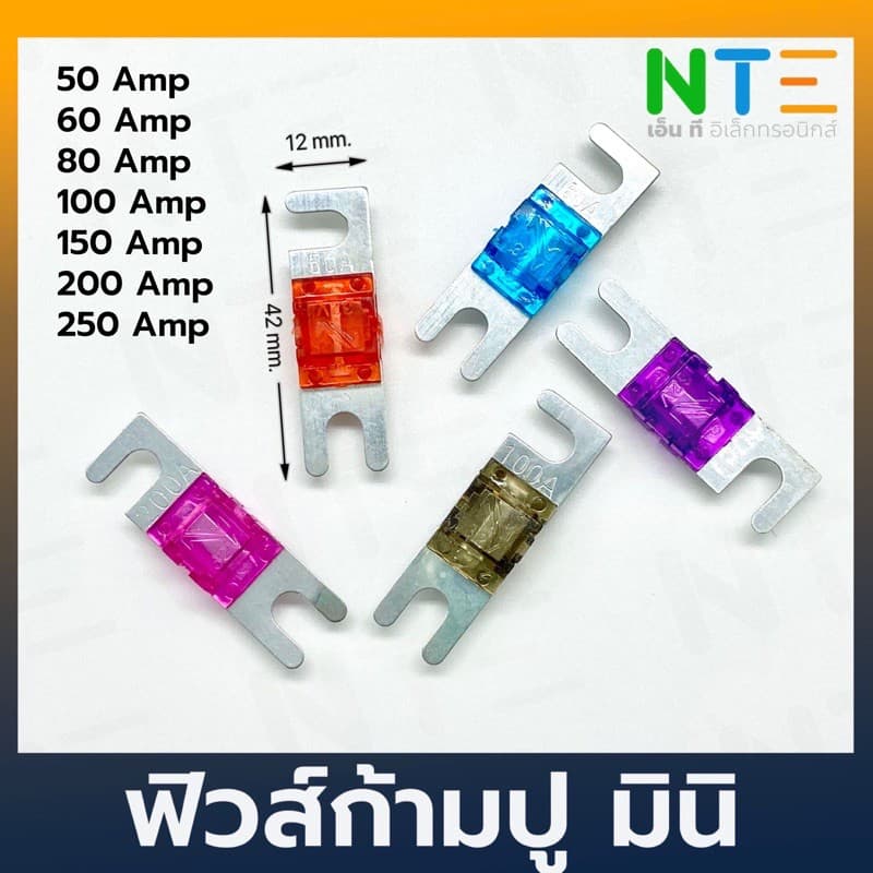 ฟิวส์ก้ามปู มินิ 20/30A/40A/50A/60A/80A/100A/150A/200A/250A/300A รูปที่ 2
