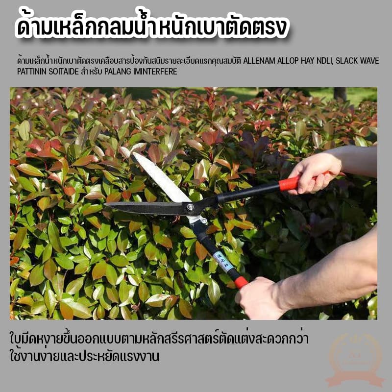 กรรไกรตัดหญ้า กรรไกรตัดแต่งกิ่ง เหล็กกล้าคุณภาพสูง คมมาก แข็งแรง รูปที่ 5