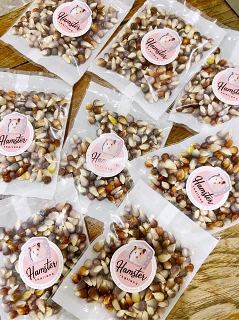 Hamsterthailand ข้าวโพดจิ๋ว ขนมสำหรับสัตว์เลี้ยง ขนมลับฟัน ที่ลับฟัน เม่นเเคระ ดอเม้าท์ แฮมสเตอร์ รูปที่ 2