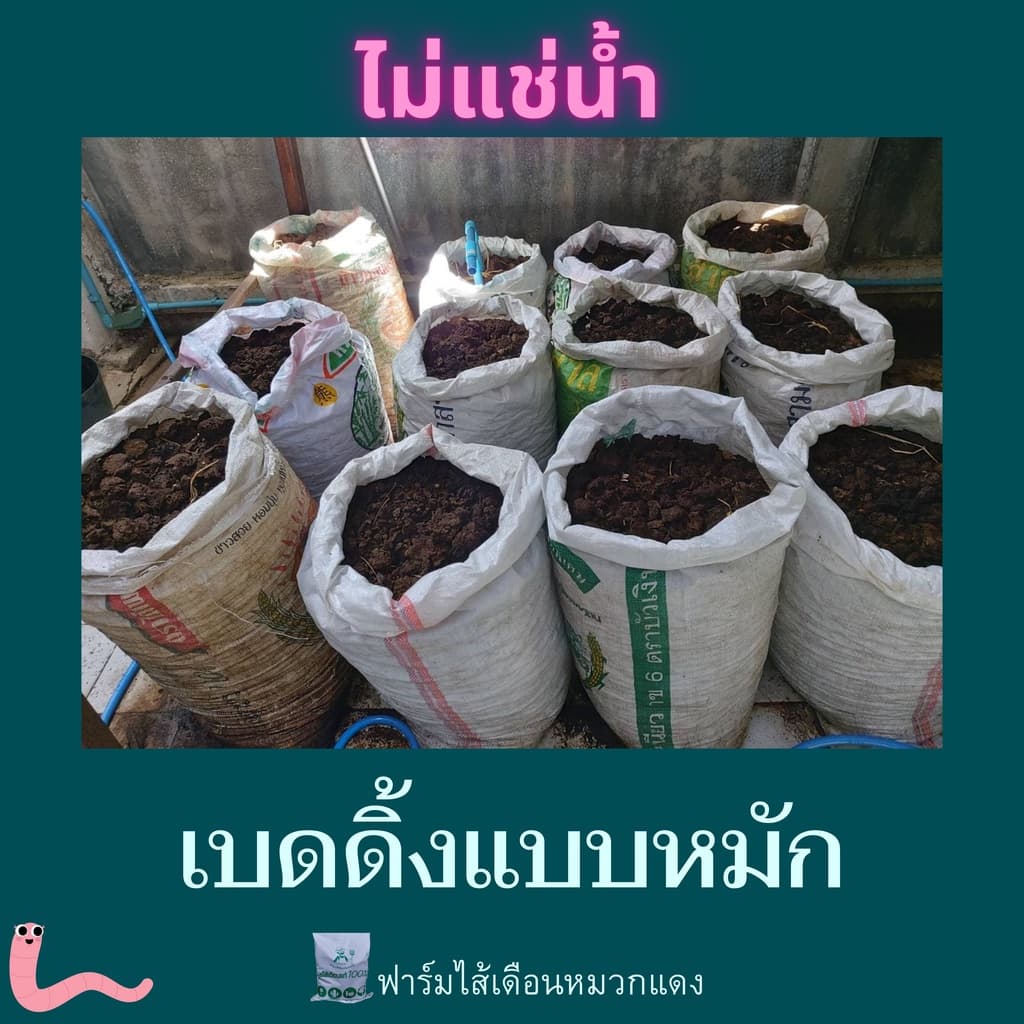 เบดดิ้งเลี้ยงไส้เดือน ปุ๋ยหมัก ขี้วัวนมหมัก ปุ๋ยคอกหมัก ปุ๋ยขี้วัวนม ที่อยู่ไส้เดือน รูปที่ 2