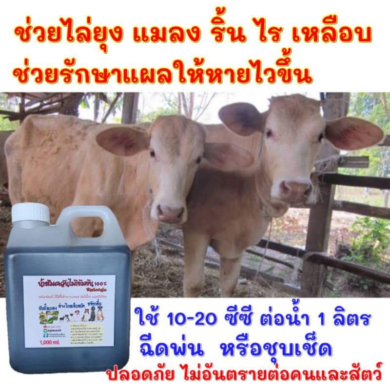 น้ำส้มควันไม้ หัวเชื้อน้ำส้มควันไม้ ออร์แกนิค เข้มข้นแท้100% เกรดA ขนาด1ลิตร รูปที่ 8