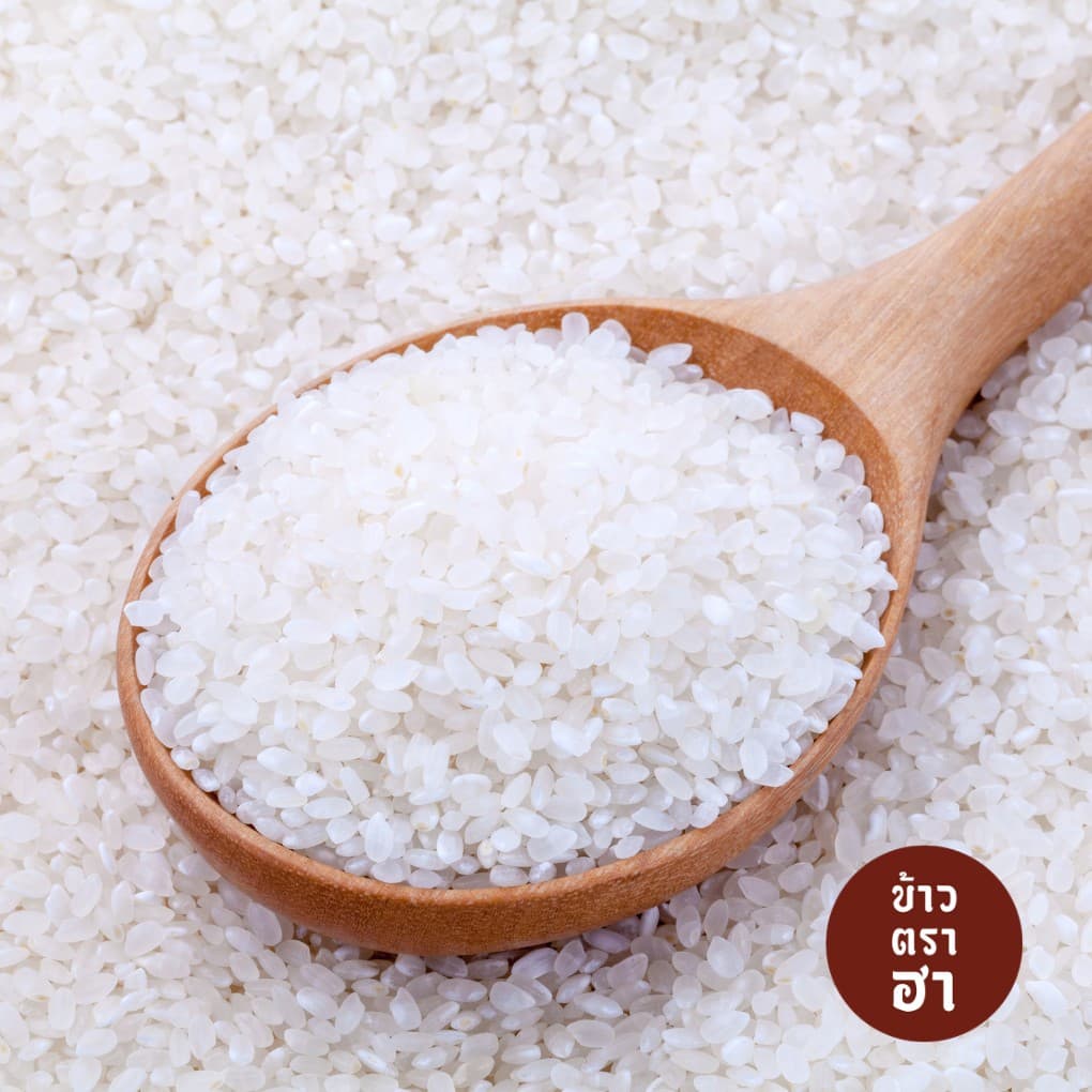 ข้าวญี่ปุ่น 1 ลิตร ตราฮา ข้าวญี่ปุ่นแท้ 100% ปลูกเชียงราย ส่งขายร้านโอมากาเสะ รูปที่ 5