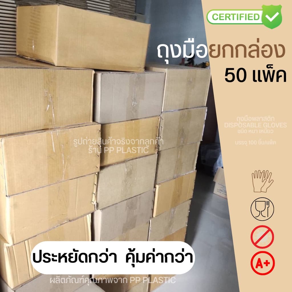 ถุงมือพลาสติกใส PP Plastic Disposable Gloves 100ชิ้น/แพ็ค ยกกล่อง 50 แพ็ค รูปที่ 6