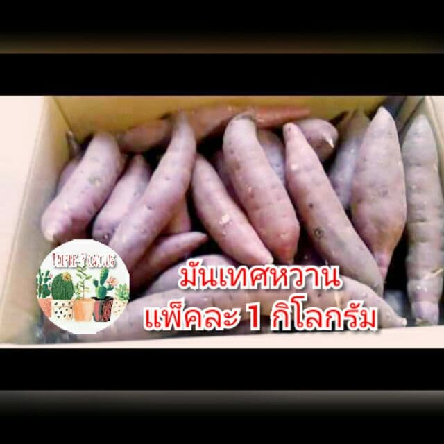 มันเทศหวาน●เกรดA●คัดสวย●แพ็กละ1กก. รูปที่ 1