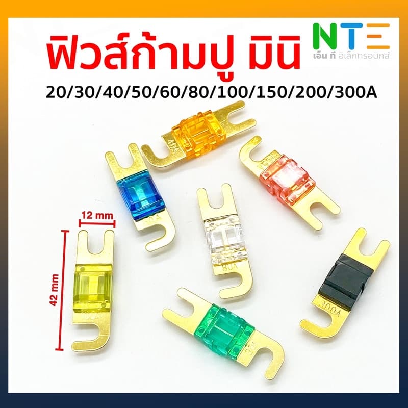 ฟิวส์ก้ามปู มินิ 20/30A/40A/50A/60A/80A/100A/150A/200A/250A/300A รูปที่ 1
