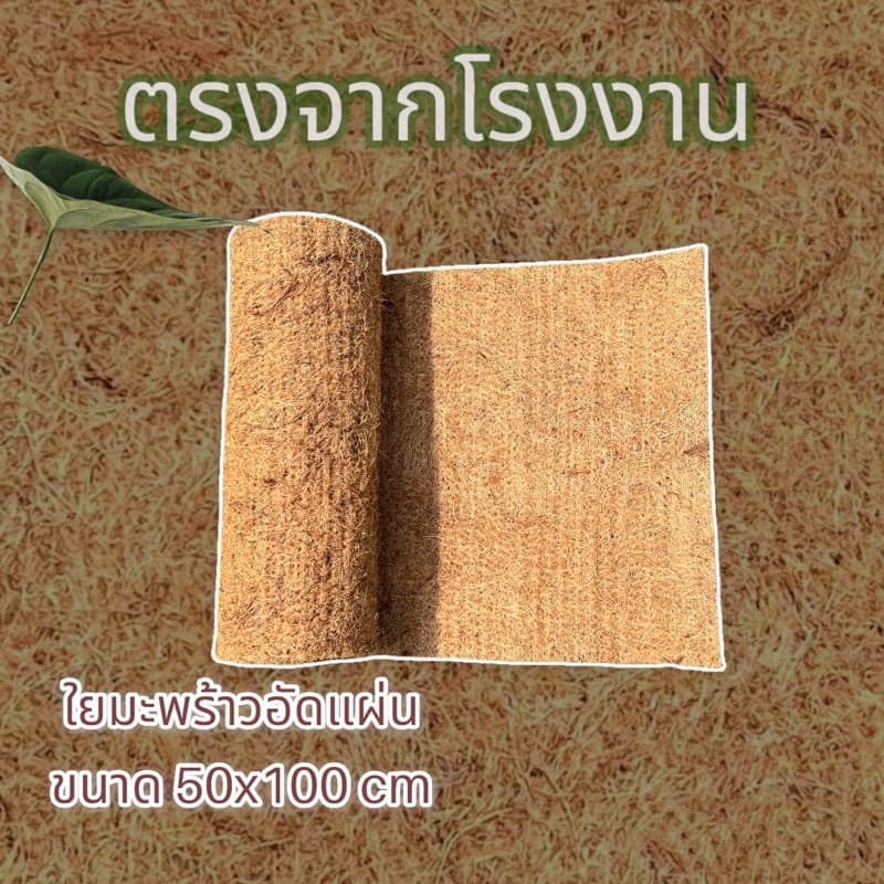 50cmX 100cm ใยมะพร้าวอัดแผ่น จากโรงงานตรง สำหรับพันเสาไม้เลื้อย คลุมดิน เลี้ยงสัตว์ รูปที่ 1