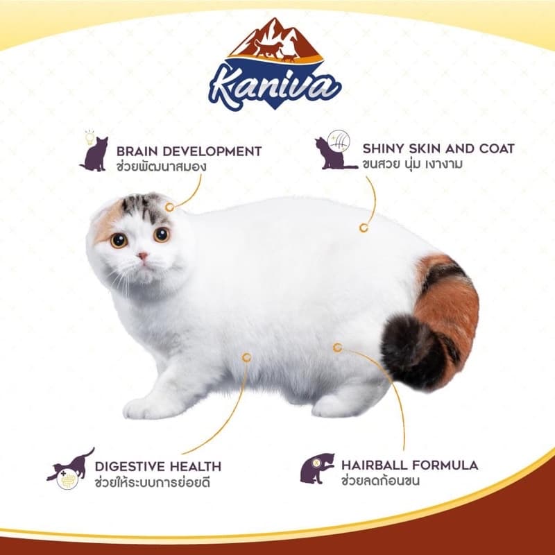 Kaniva Premium Cat Food คานิว่า อาหารเม็ดเกรดพรีเมี่ยมสำหรับแมว บรรจุ 1.3kg-1.5kg รูปที่ 8