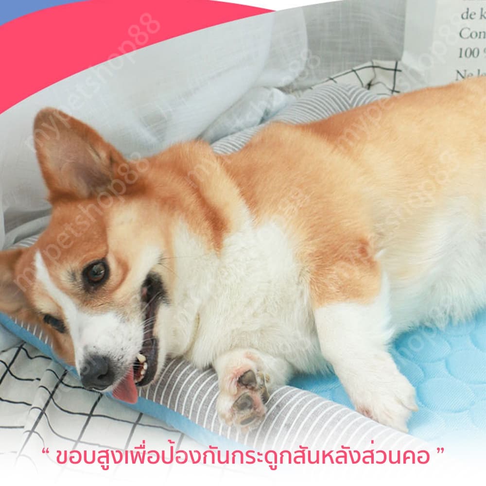 PetStern ที่นอนแมวเย็น ที่นอนสุนัข ที่นอนสัตว์เลี้ยงถอดซักได้ รูปที่ 3