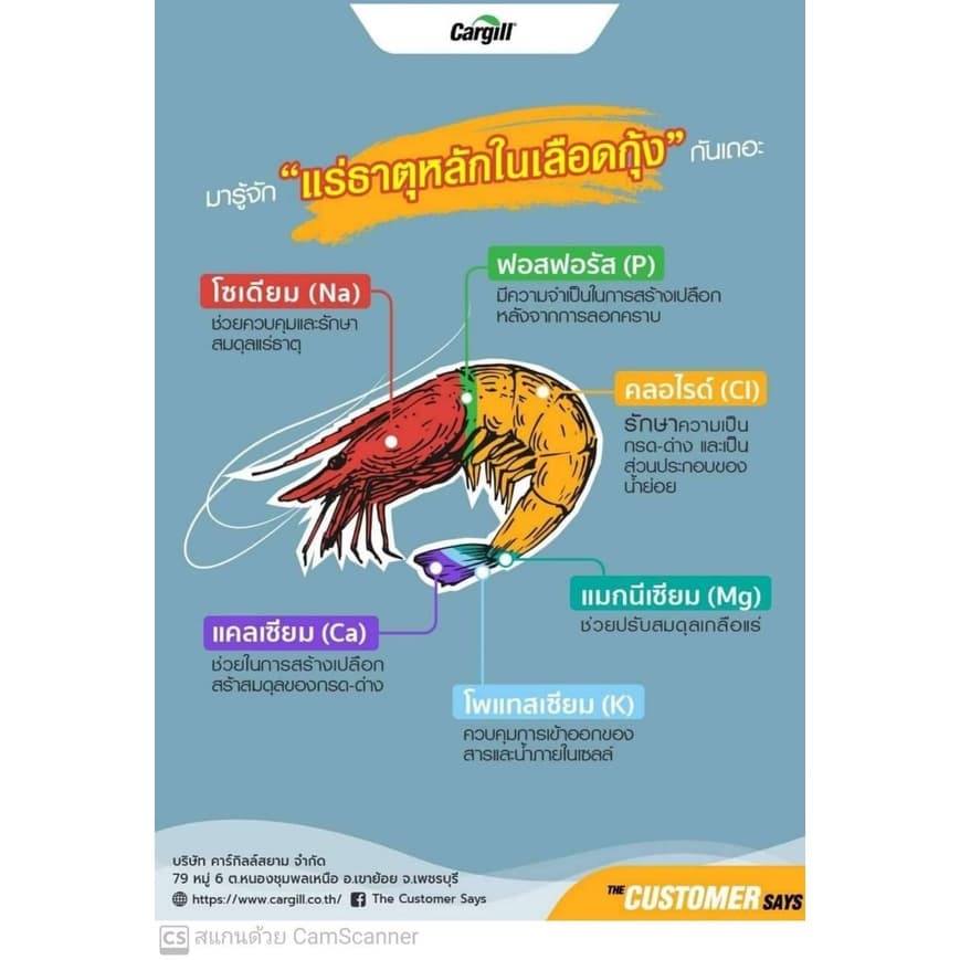แร่ธาตุรวม​ แร่ธาตุสำหรับสัตว์น้ำ​ หัวแร่ธาตุ​เข้มข้น​ แร่ธาตุรวมเข้มข้น จัดส่งรวดเร็ว รูปที่ 5