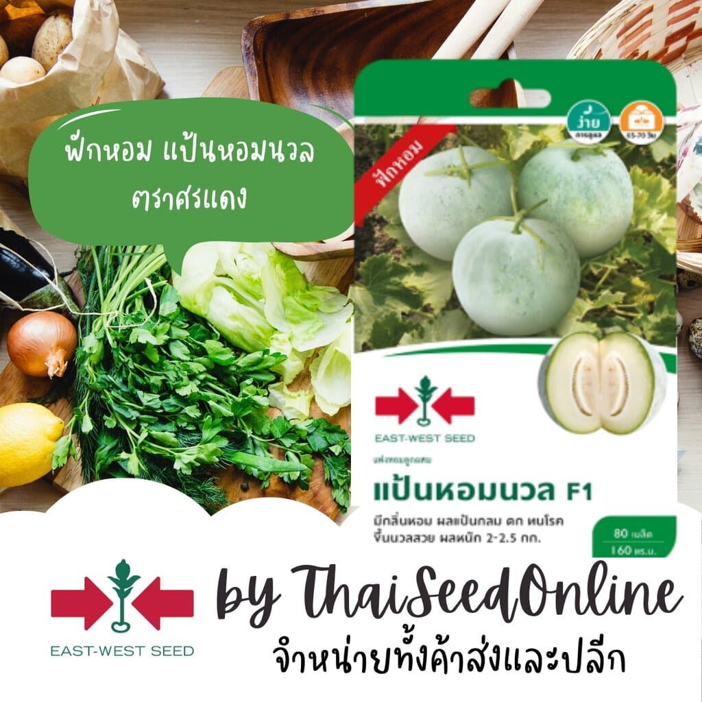 GGEW เมล็ดพันธุ์ซฟ แฟงหอม ฟักหอม แป้นหอมนวล 80 เมล็ด ตราศรแดง Wax Gourd รูปที่ 1