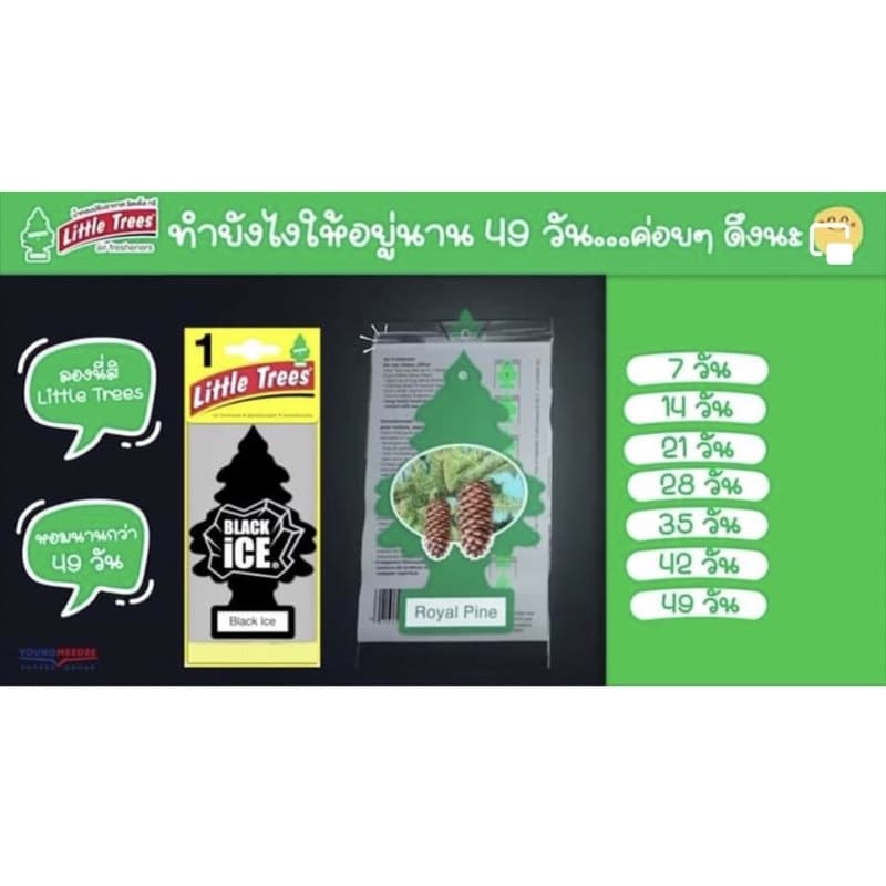 Little Trees ตัดยอดบ่าย2 แผ่นน้ำหอมต้นสน น้ำหอมปรับอากาศ รูปที่ 9