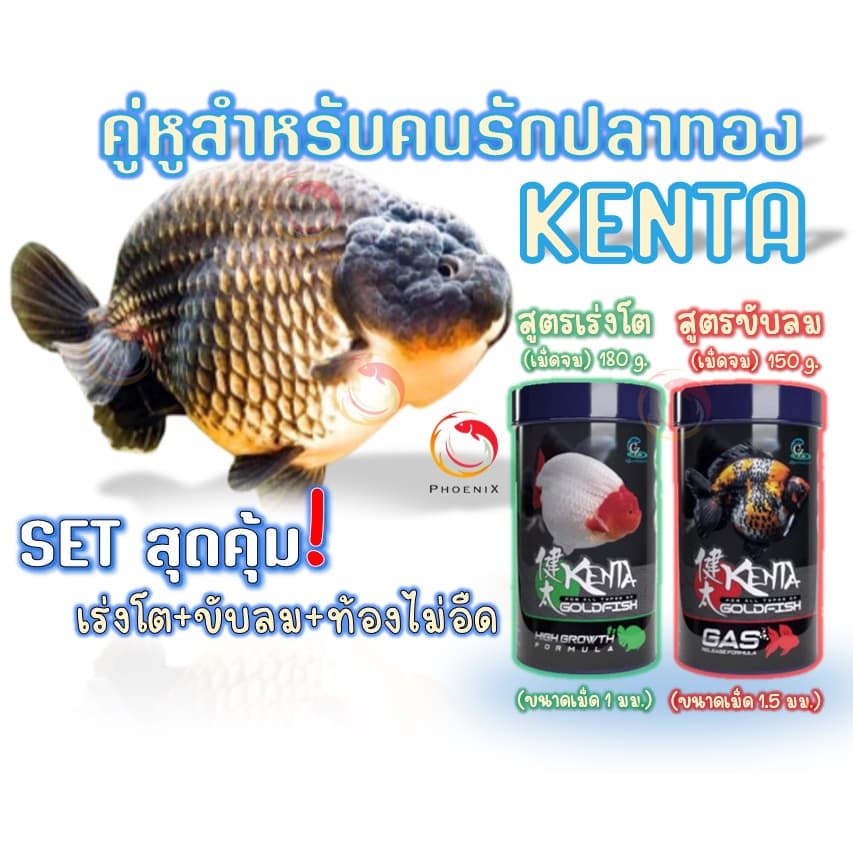 Set สุดคุ้มอาหารปลาทอง Kenta สูตรเร่งโต ท้องไม่อืด และขับลม แก้ปลายหงายท้อง รูปที่ 1