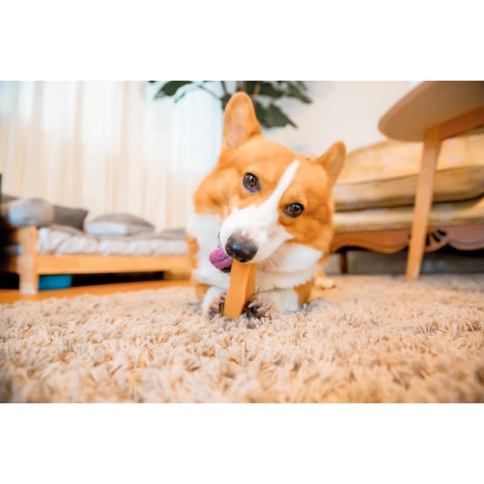 ชีสแท่งนมจามรี ไซส์ M+ /Himalayan Dog Chew Large Size รูปที่ 8