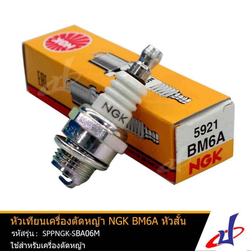 หัวเทียนเครื่องตัดหญ้า NGK BM6A หัวสั้น 5921 แท้ คุณภาพดี ใช้กับเครื่องตัดหญ้า SPPNGK-SBA06M รูปที่ 1