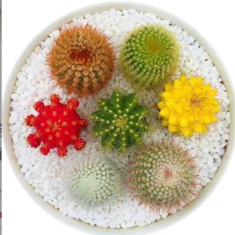 ชุดแหนบสแตนเลส 3 ชิ้น คีมคีบแหนบรุ่น DIY แหนบอิเล็กทรอนิก รูปที่ 3