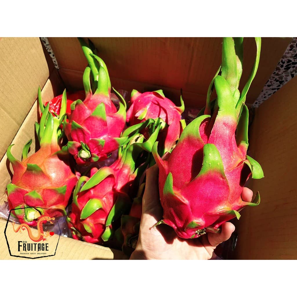 แก้วมังกร นำเข้าจากเวียดนามแท้ DRAGON FRUIT ~ลดพิเศษ~ สดใหม่ แคลอรี่ต่ำ แก้วมังกรสีขาว รูปที่ 3