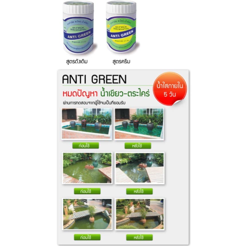 Anti Green ยากำจัด ตะไคร่น้ำเขียว สาหร่ายสีเขียวแกมน้ำเงิน ตู้ปลา บ่อปลา ขนาด 110g. รูปที่ 6