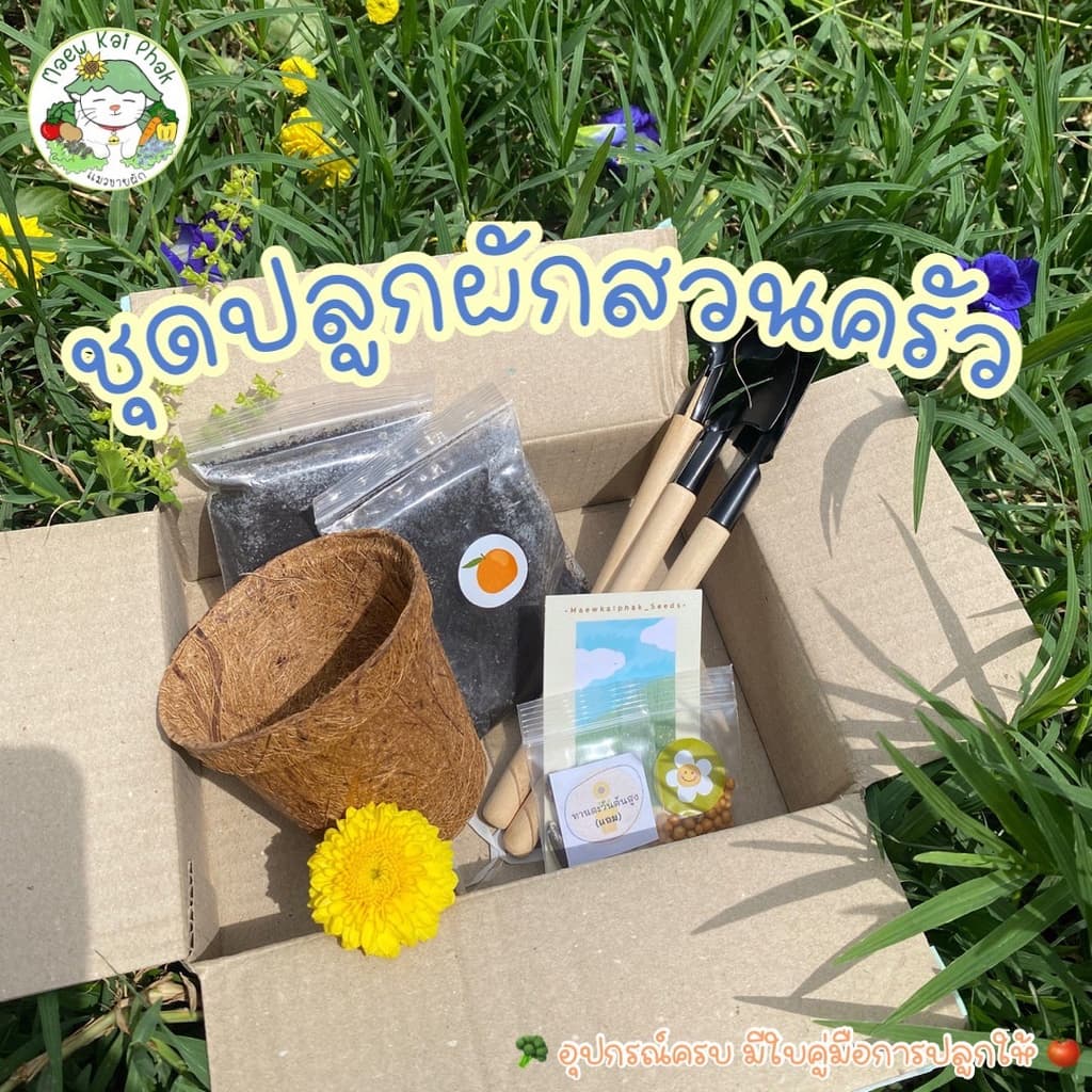 ชุดปลูกผัก สวนครัว สำหรับมือใหม่หัดปลูก ผักสลัด ผักกวางตุ้ง ผักบุ้ง ต้นอ่อนทานตะวัน ผักชี อุปกรณ์ครบพร้อมปลูก รูปที่ 1