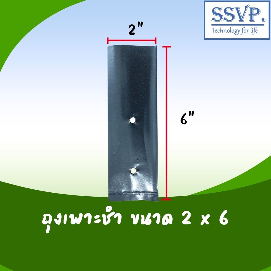ถุงเพาะชำอย่างดี ขนาด 2 x 6 เกรด A รูปที่ 1