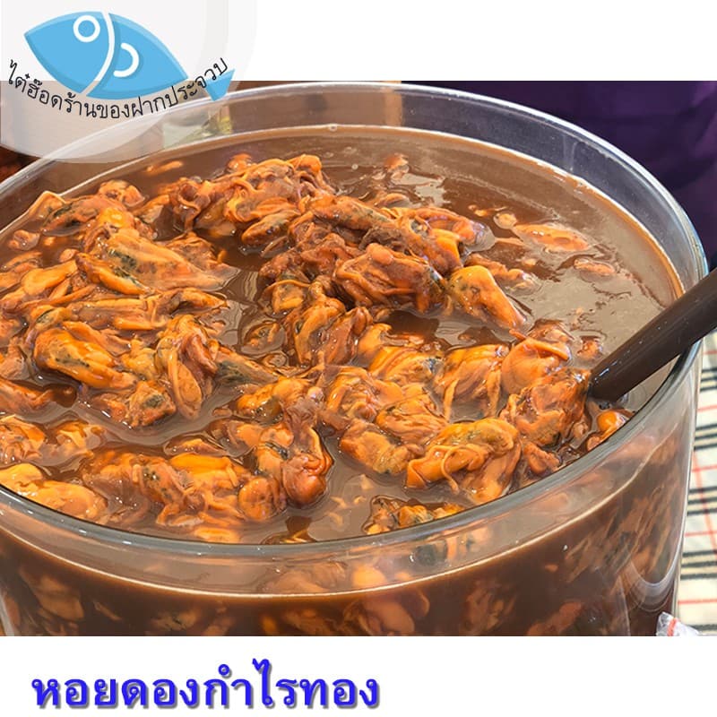 ไต๋ฮ๊อด หอยดองกำไรทอง 450กรัม 3ขวด หอยแมลงภู่ดอง หอยดองแม่กลอง หอยดอง กำไรทอง อาหารทะเล รูปที่ 2