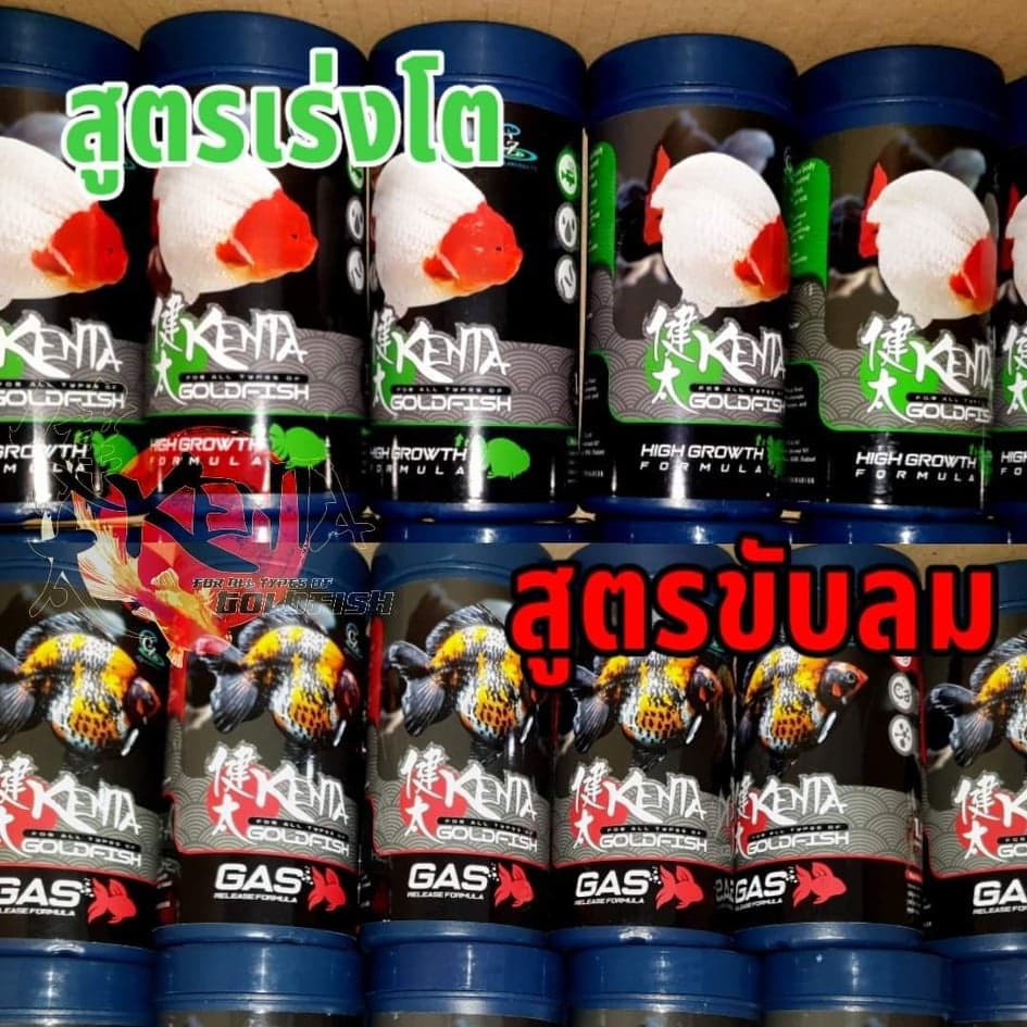 Set สุดคุ้มอาหารปลาทอง Kenta สูตรเร่งโต ท้องไม่อืด และขับลม แก้ปลายหงายท้อง รูปที่ 6
