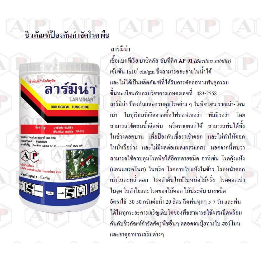 ลาร์มิน่า 1kg. บาซิลลัส ซับทิลิส ป้องกันกำจัดเชื้อราและแบคทีเรีย สารชีวภัณฑ์ เกษตรอินทรีย์ โรคแอนแทรคโนส โรคกุ้งแห้งพริก รูปที่ 2