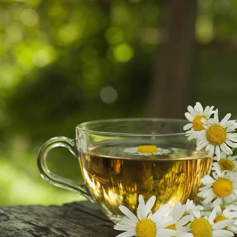 ชาเบญจมาศ 250ML 健琪菊花茶饮料 รูปที่ 2