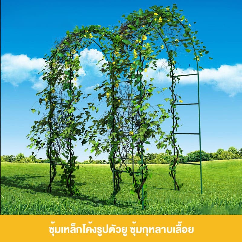 น้ำหนัก2กก ซุ้มไม้เลื้อย ซุ้มกุหลาบ เลื้อย โครงไม้เลื้อย ซุ้มงานแต่ง เหล็กโค้งรูปตัวยู เหล็กโค้งสำเร็จรูป โครงกุหลาบเล รูปที่ 7